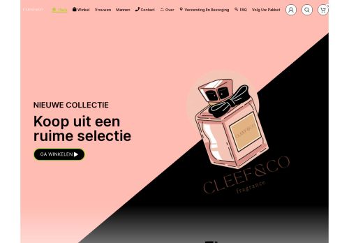 Screenshot van cleefenco.nl