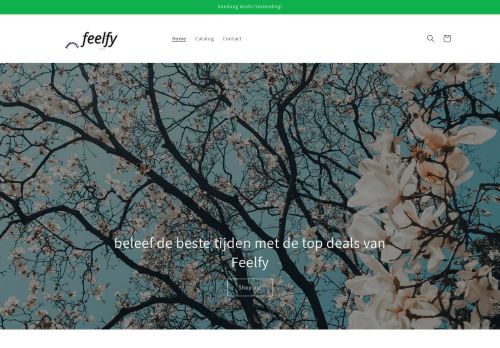 Screenshot van feelfy.nl