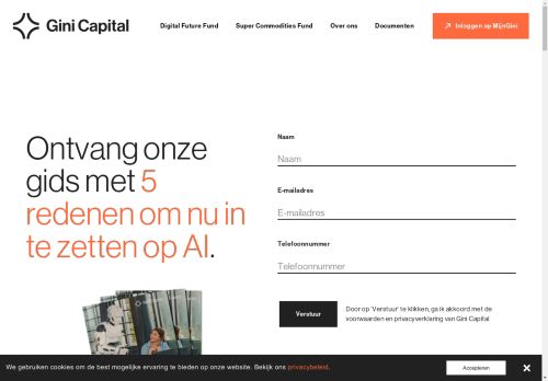 Screenshot van gini.capital