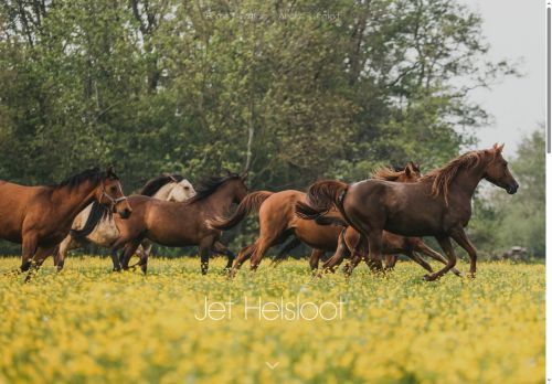 Screenshot van jethelsloot.nl