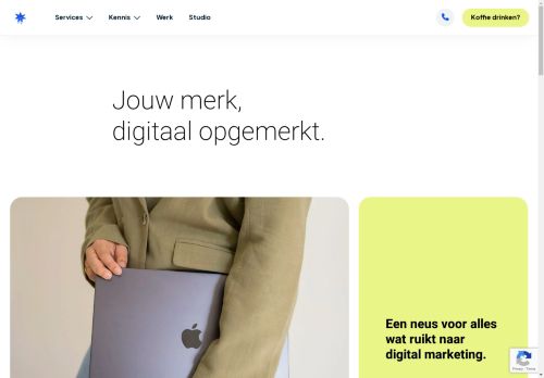Screenshot van studiocapiche.be