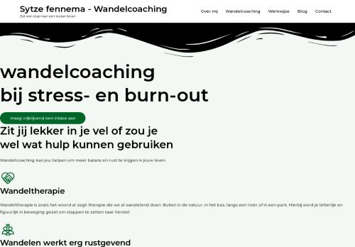 Screenshot van sytzefennema.nl