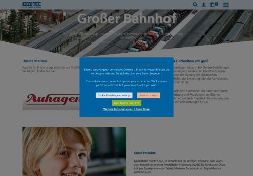 Screenshot van toy-tec.shop