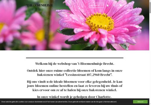 Screenshot van bloemenhuisjebrecht.be