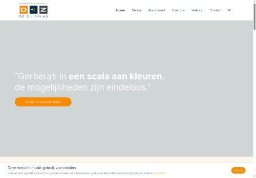 Screenshot van de-zuidplas.nl