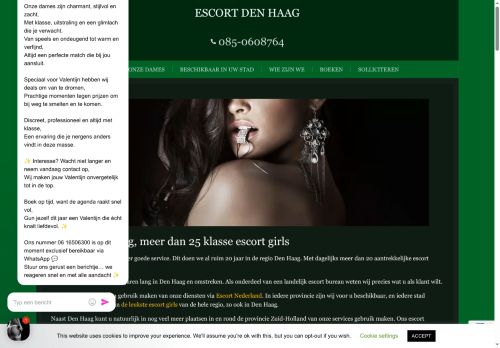 Screenshot van escort-services-denhaag.nl