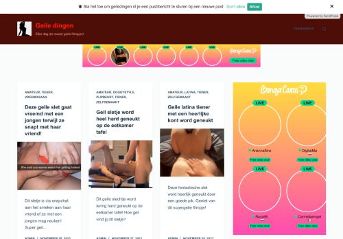 Screenshot van geiledingen.nl