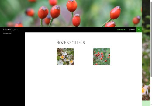 Screenshot van maartenlanser.nl