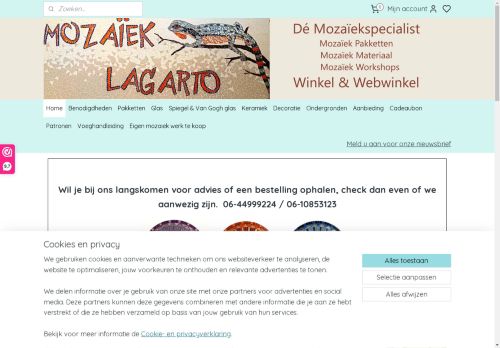 Screenshot van mozaieklagarto.nl
