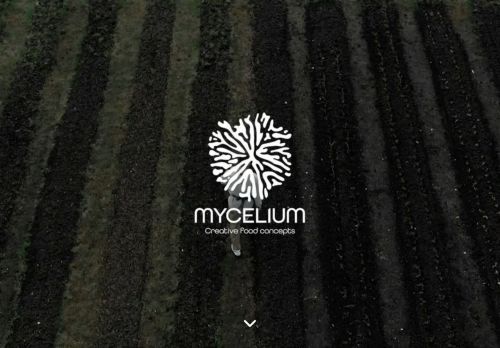 Screenshot van myceliumconcepts.nl