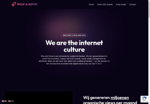 Screenshot van riceandsoya.nl