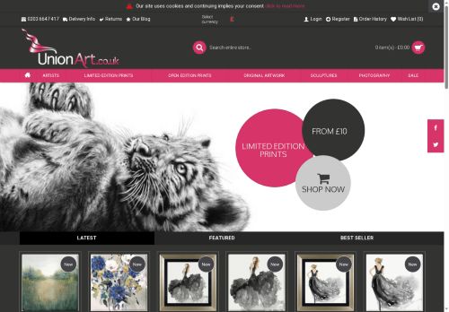 Screenshot van unionart.co.uk